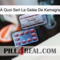 À Quoi Sert La Gelée De Kamagra 36